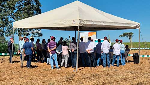  Dia de Campo da Satis reúne produtores e especialistas em Araxá/MG