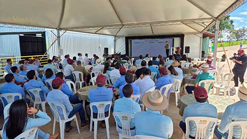  Dia de Campo da Satis reúne produtores e especialistas em Araxá/MG