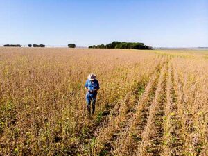 Dia do Agronegócio: Sistema Campo Limpo inspira Sustentabilidade e é referência mundial