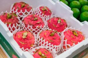 Safra da pitaya em Santa Catarina deve superar 6,5 mil toneladas neste ano