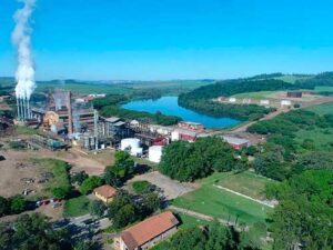 Usina Jacarezinho tem perspectivas otimistas para a Safra 25/26