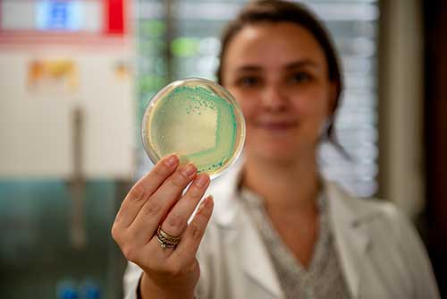 Em nova aposta no mercado de bioinsumos, Bioma lança tecnologia para fixação biológica de Nitrogênio na cultura do milho