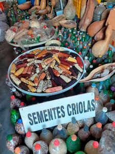 Guardiãs(ões) de sementes se reúnem em Brasília