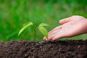 Fertilizantes minerais e orgânicos: a segurança alimentar do mundo depende deles