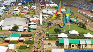 BB Seguros reforça compromisso com o agronegócio na Expodireto Cotrijal