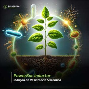 Bacillus é aliado das plantas na resistência contra doenças foliares