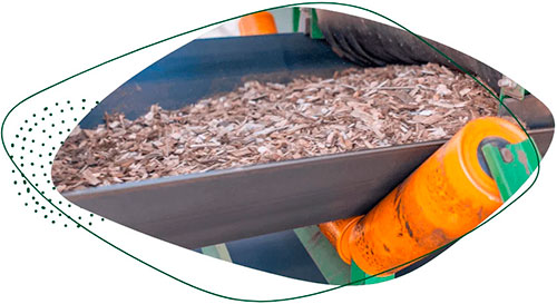 Nova linha de picagem da Eldorado Brasil substitui combustível fóssil por energia elétrica renovável para produção de biomassa