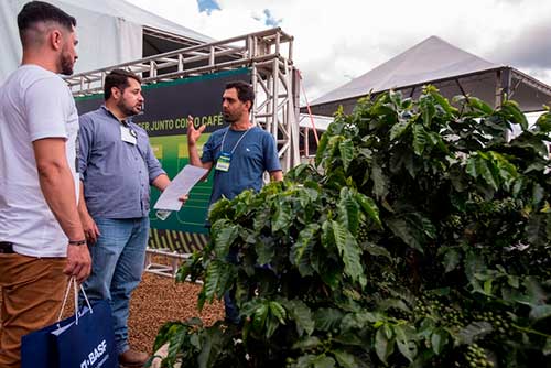 Cafeicultor encontrará mais de 10 mil soluções e novidades tecnológicas na Femagri 2025