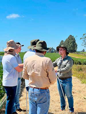 Experimentação agrícola em diferentes regiões do Brasil garante assertividade no uso de produtos no manejo das plantas