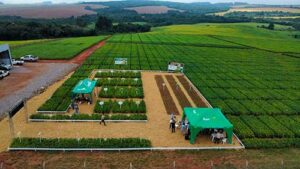 Experimentação agrícola em diferentes regiões do Brasil garante assertividade no uso de produtos no manejo das plantas