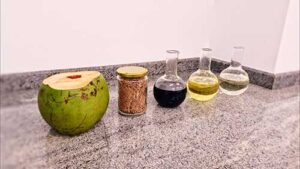 Biocombustível de coco impulsiona a transição energética no Brasil
