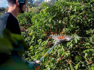 Husqvarna lança derriçadores de café que reduzem danos à planta e melhoram performance de colheita