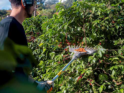 Husqvarna lança derriçadores de café que reduzem danos à planta e melhoram performance de colheita