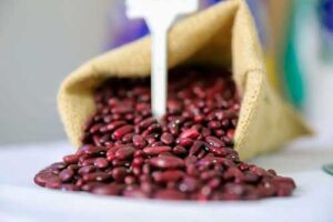 Nova variedade de feijão é lançada no Paraná