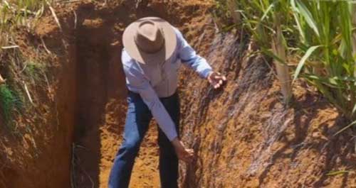 Desafios climáticos e a força do solo: como o Bom Retiro Agronegócio enfrenta a seca com microbiologia