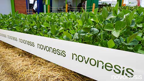 Novonesis apresentará soluções biológicas para Tratamento Industrial de Sementes (TSI) durante o Show Safra