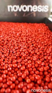 Novonesis apresentará soluções biológicas para Tratamento Industrial de Sementes (TSI) durante o Show Safra