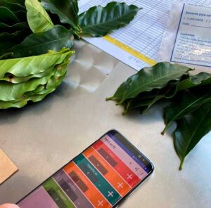 Fundação Procafé e C3 Consultoria e Pesquisa lançam núcleo de inteligência para impulsionar a cafeicultura brasileira