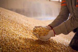 Conquista reforça potencial logístico do Arco Norte e consolida VLI como um importante elo na cadeia logística brasileira