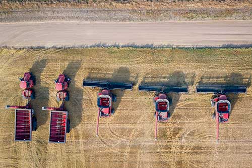 Brasil lidera exportações mundiais de commodities do agronegócio e tem potencial de expansão em 2025
