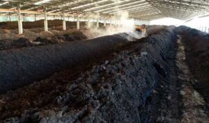 Fertilizantes produzidos com lodo de esgoto são seguros, sustentáveis e uma ótima alternativa para a agricultura