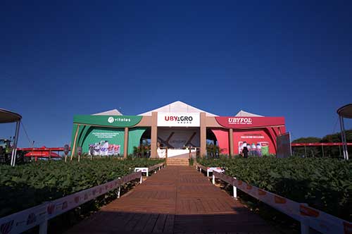 UbyAgro lança dois produtos para aumentar a produtividade das culturas no Show Safra 2025