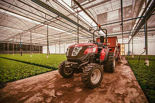 YANMAR leva soluções compactas para a agricultura familiar na Femagri 2025