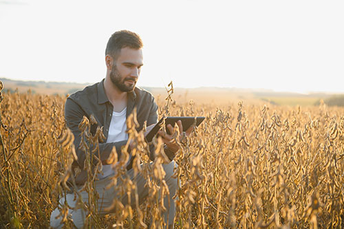 Digitalização amplia oportunidades de trabalho no agronegócio