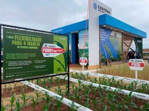 Pioneer® lança primeiro híbrido de milho com a biotecnologia PowerCore® Ultra Enlist®