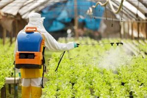 Expoagro Afubra 2025: Jacto inova com o pré-lançamento, Jacto SB-20D, o Pulverizador costal a bateria mais confortável da categoria