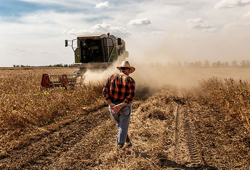 Nagro facilita o acesso ao crédito rural por meio da tokenização