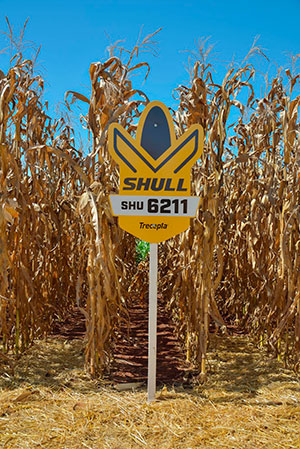 Shull Seeds apresenta portfólio de híbridos de milho na 23ª Expoagro Afubra