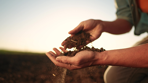 Abisolo reforça importância da conservação do solo para a sustentabilidade agrícola