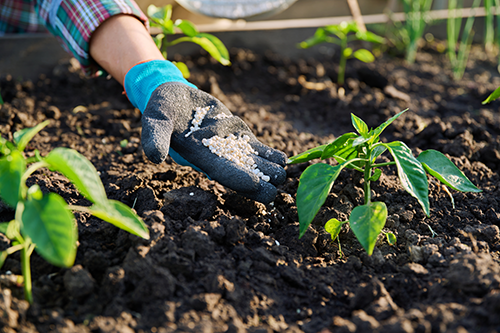 Abisolo reforça importância da conservação do solo para a sustentabilidade agrícola