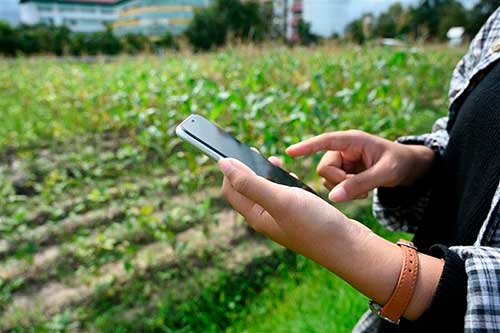Acesso à internet no campo triplica em dez anos no Brasil