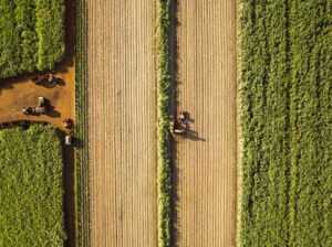 BASF apresenta novas soluções para cana-de-açúcar na Agrishow