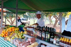 BASF impulsiona a transformação verde e investe na circularidade para dar novos fins ao lixo