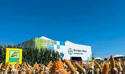 Bayer destaca soluções integradas para a safrinha de milho na Tecnoshow Comigo