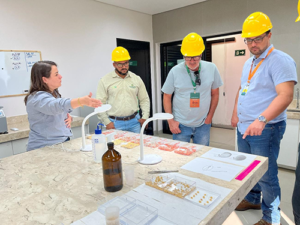 Semente de alto padrão: o que está por trás da qualidade que chega ao campo