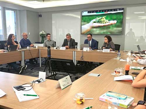 Pirataria de sementes de soja causa perdas de R$ 10 bi ao ano
