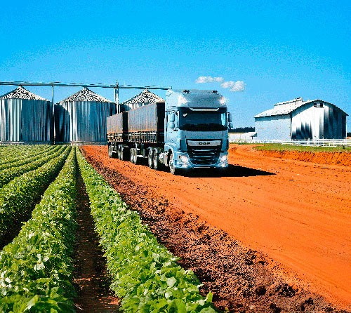 DAF Caminhões apresenta a versatilidade das linhas CF e XF para o agronegócio na Tecnoshow Comigo 2025