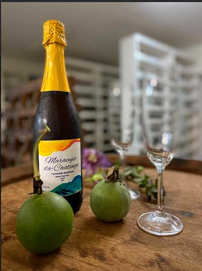 Maracujá-da-caatinga vira base para bebida gaseificada semelhante a vinho espumante