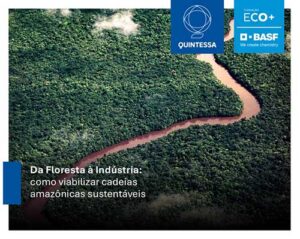 Quem paga a conta? O impacto dos custos ocultos no meio ambiente e na formação de preços