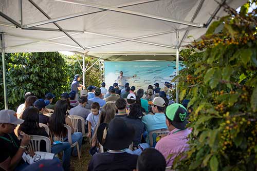 Fundação Procafé confirma calendário dos Dias de Campo 2025 Fundação Procafé confirma calendário dos Dias de Campo 2025