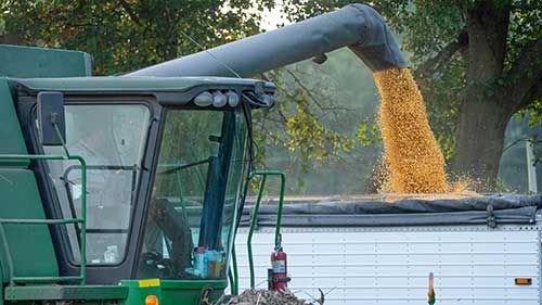 Últimos dias para os agricultores se inscreverem no Concurso de Produtividade no Milho Inverno 2025