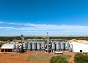 Investimentos e estruturação de governança corporativa marcam novo ciclo da Girassol Agrícola