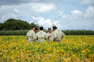 Alta da Selic pressiona o campo e Barter ganha força como alternativa ao crédito rural