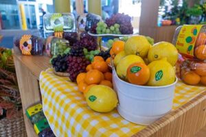 Maior e mais completa, 30ª HORTITEC acontece em junho