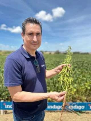 Biodefensivos: uma abordagem sustentável para o controle de pragas