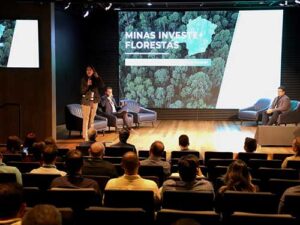 Com milhões de hectares propícios para silvicultura, Minas tem potencial para se tornar referência nacional